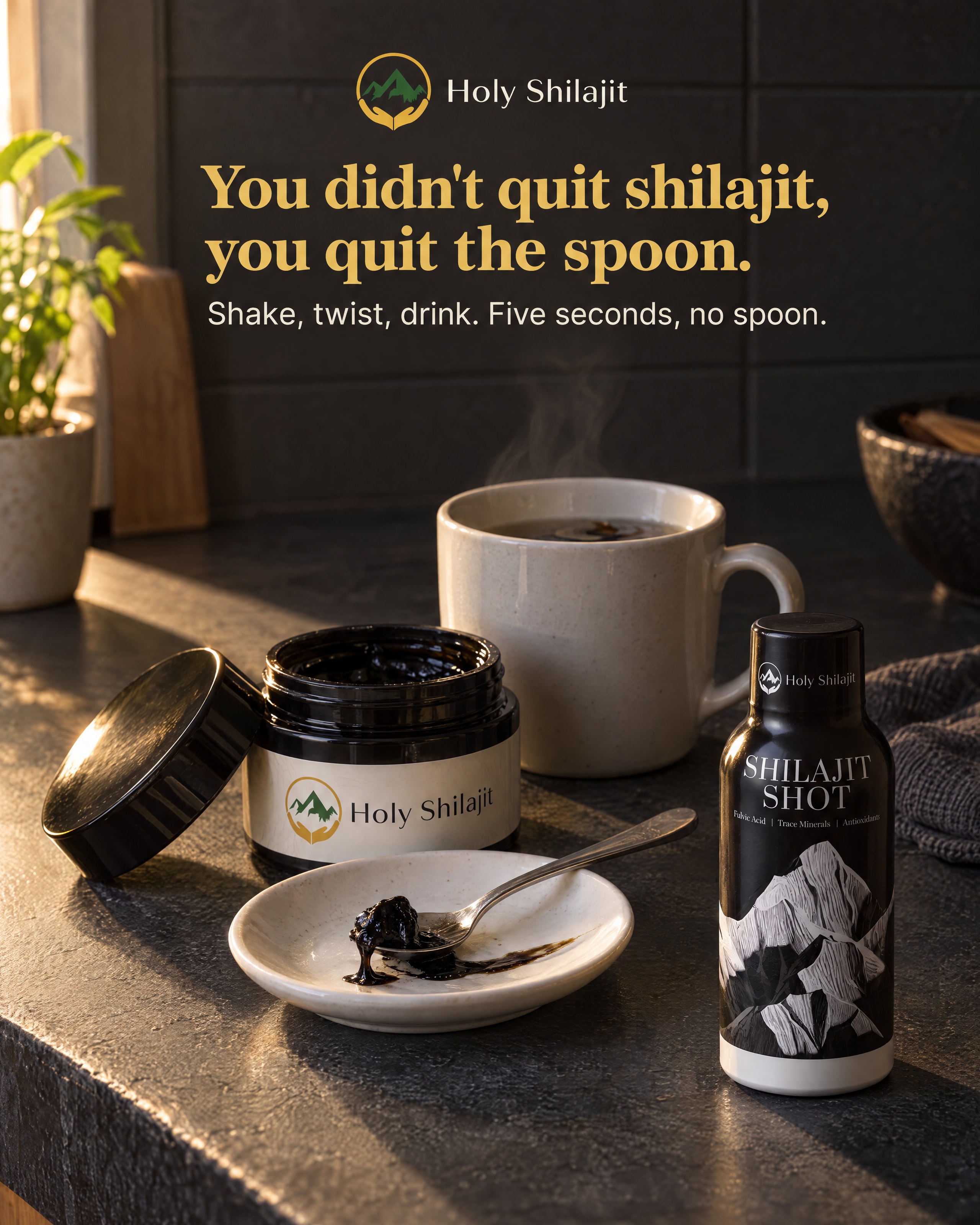 Ad 1 for Holy Shilajit
